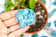 Load image into Gallery viewer, raw rough blue apatite