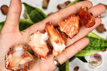Load image into Gallery viewer, raw rough carnelian agate
