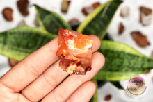 Load image into Gallery viewer, raw rough carnelian agate

