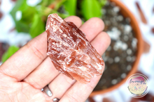 Load image into Gallery viewer, raw rough red calcite
