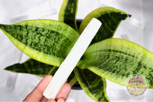 Load image into Gallery viewer, selenite wand
